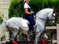 Caballo - Trajano - Doma - Dressage