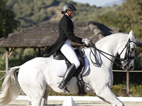 Patricia Sanchez Dressage Rider