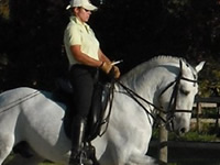 Patricia Sanchez Dressage Rider