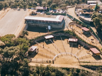 Patricia Sanchez Jinete Profesional - Dressage Rider